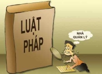 Nghề luật sư không hề dễ sống
