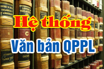 VAN BAN  PHAP QUI